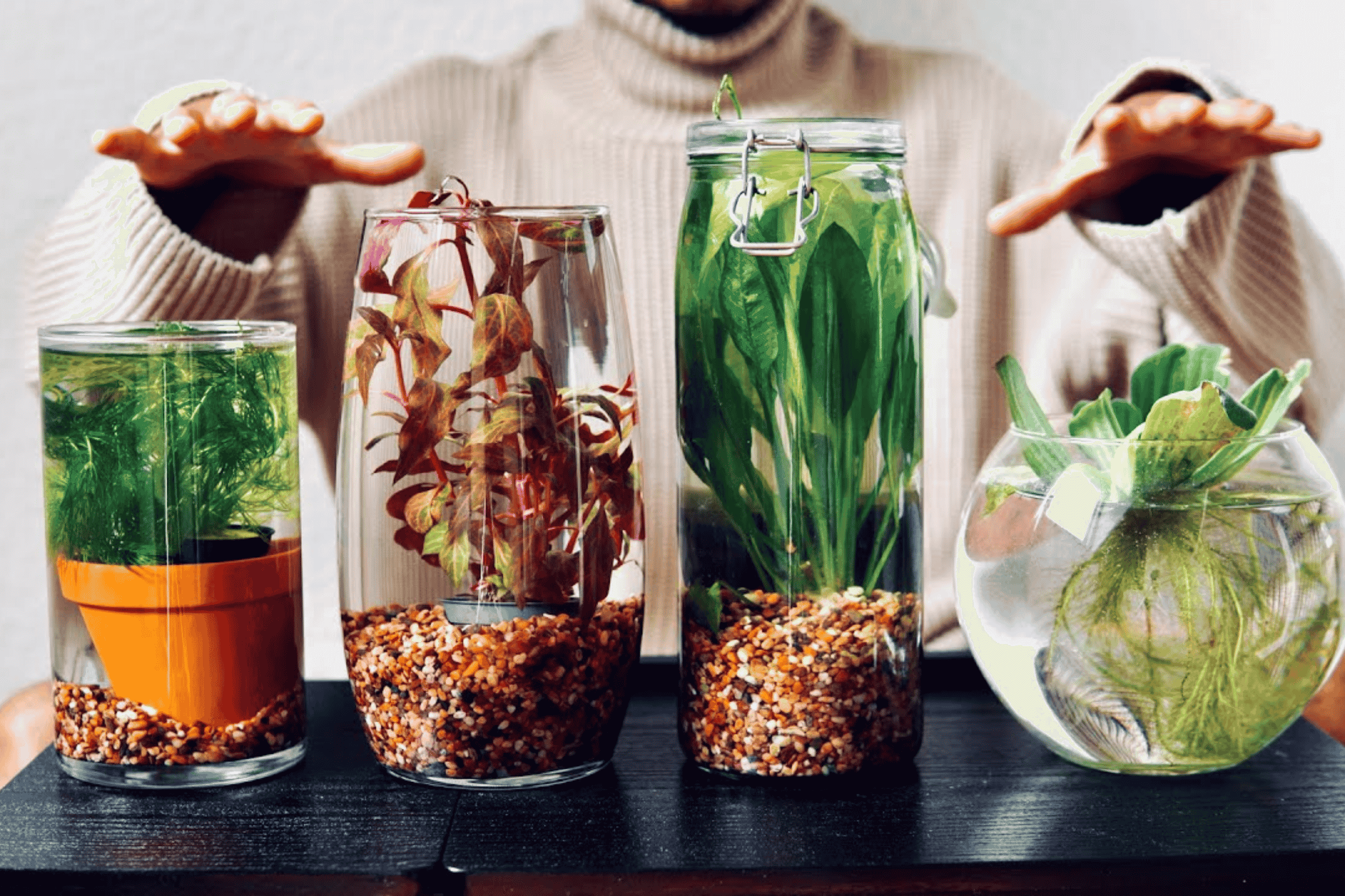 Plantas en agua: Técnicas sencillas para cultivarlas y mantenerlas fuertes