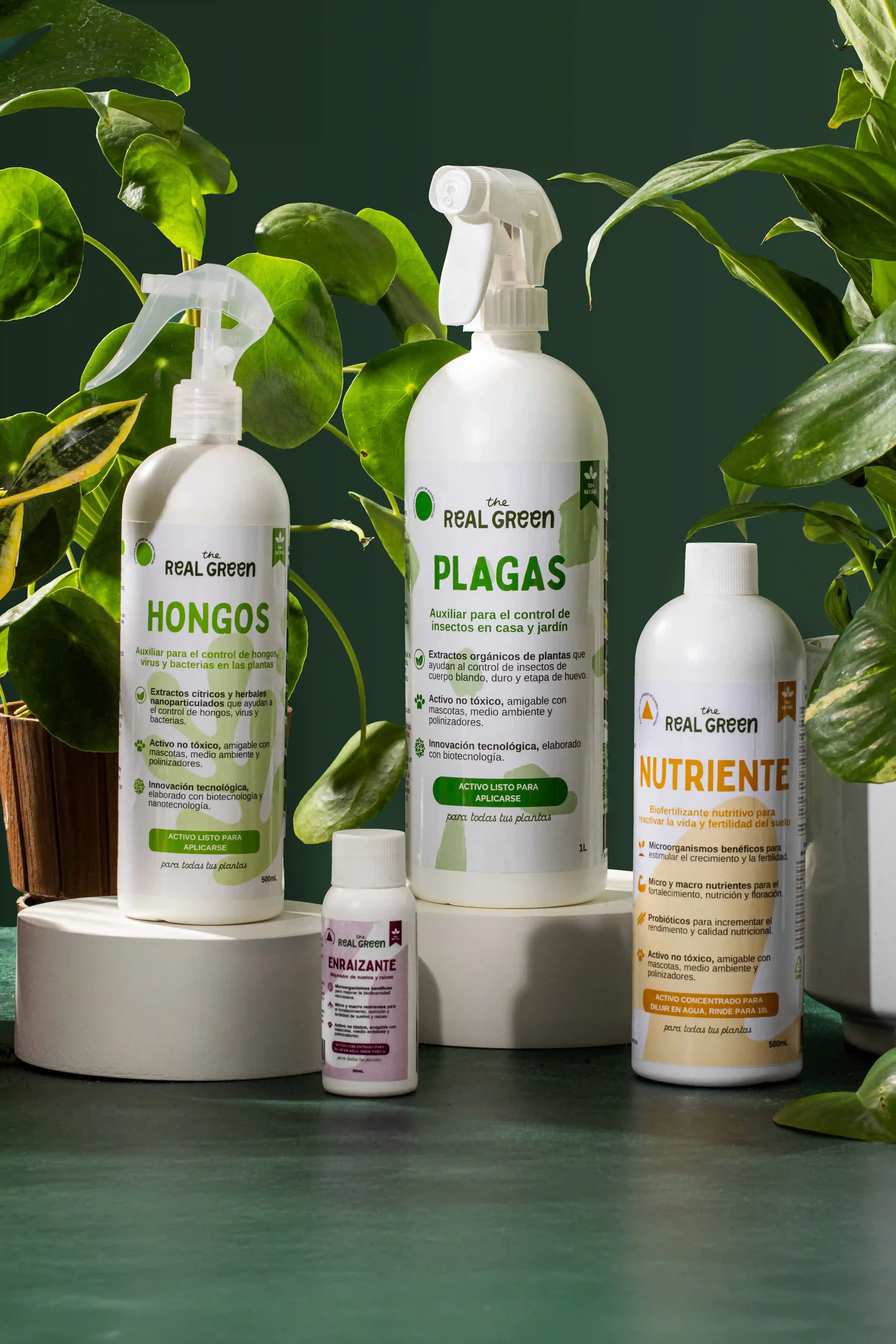 Kit Plantas Felices