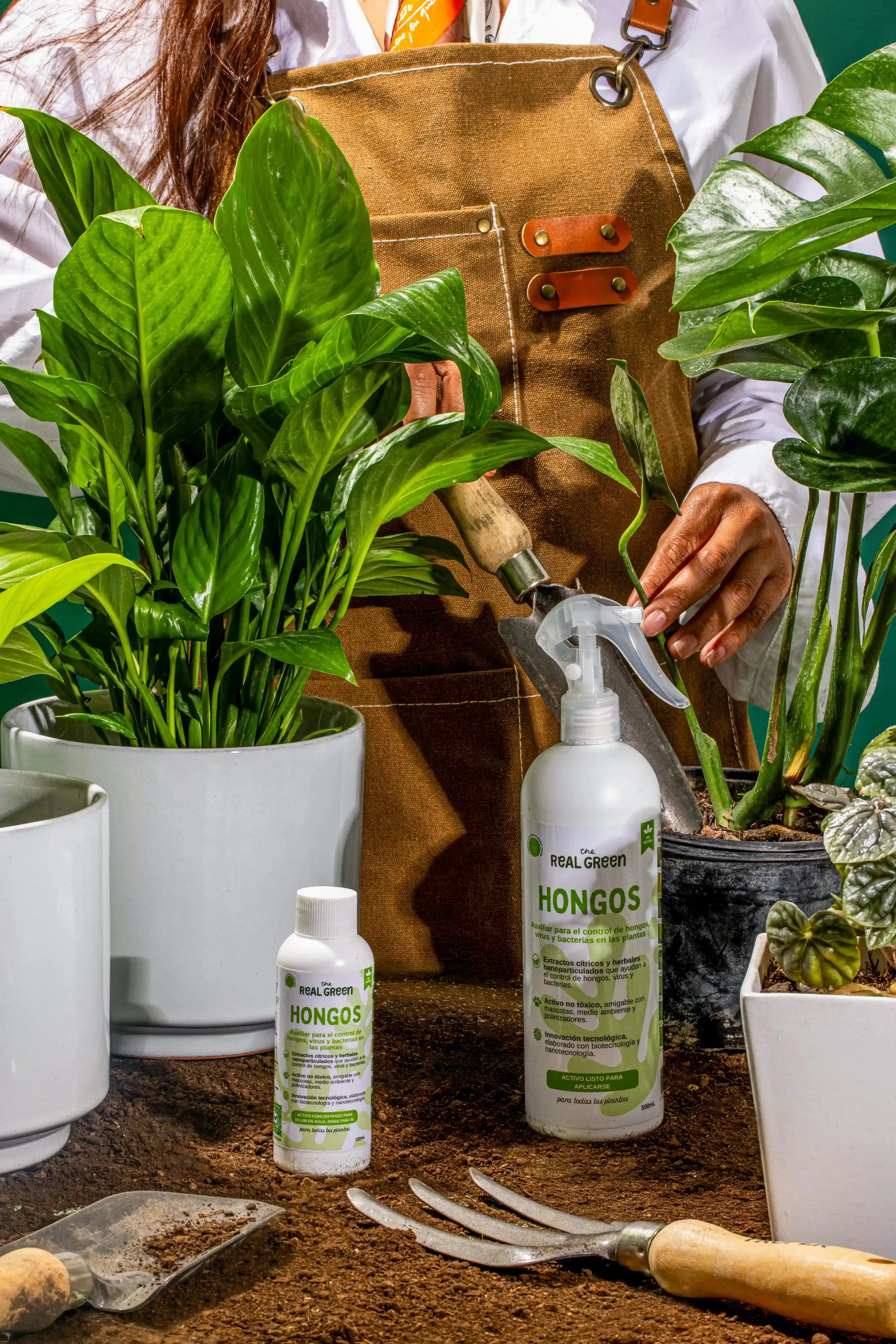 Auxiliar para el control de hongos, virus y bacterias