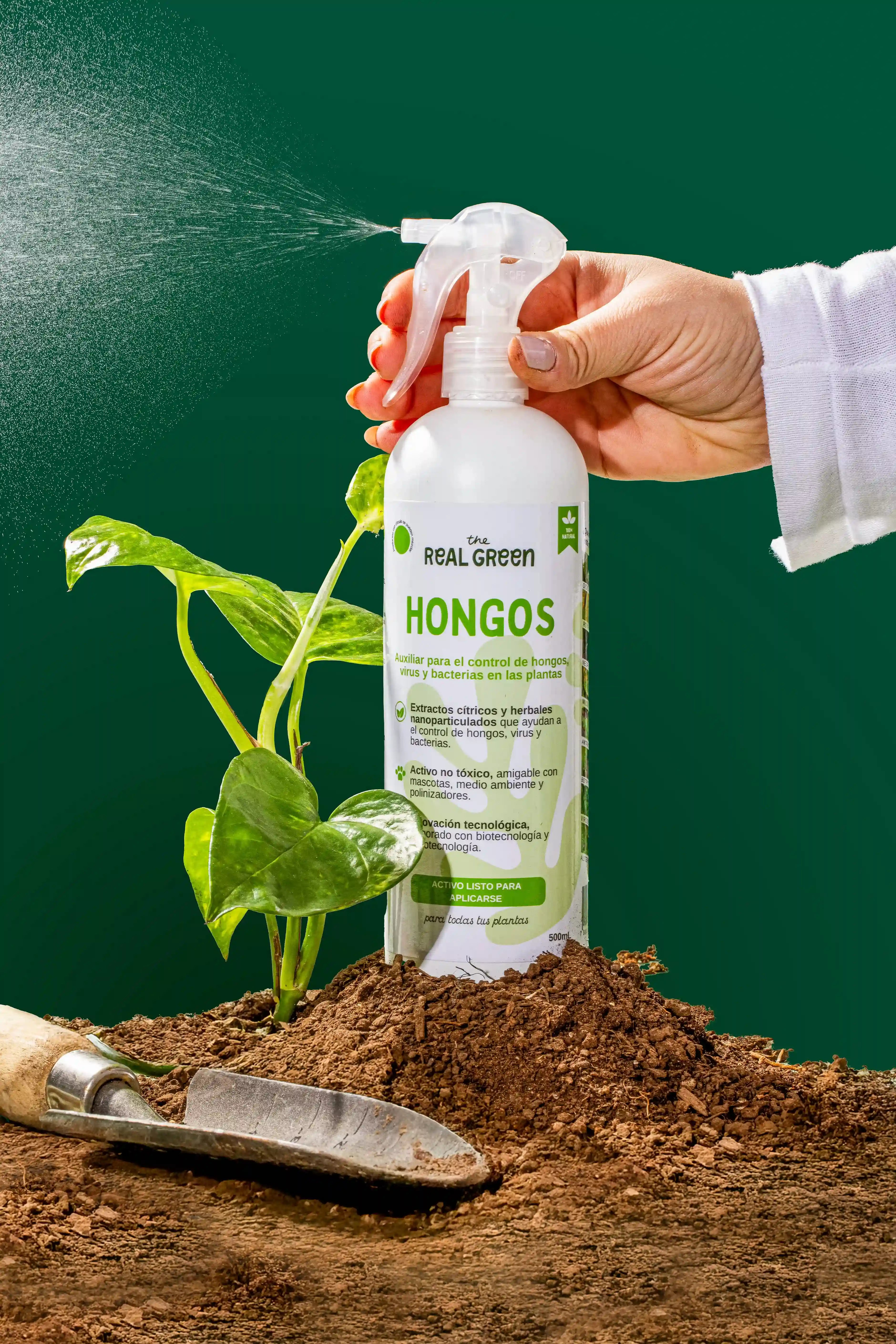 Auxiliar para el control de hongos, virus y bacterias