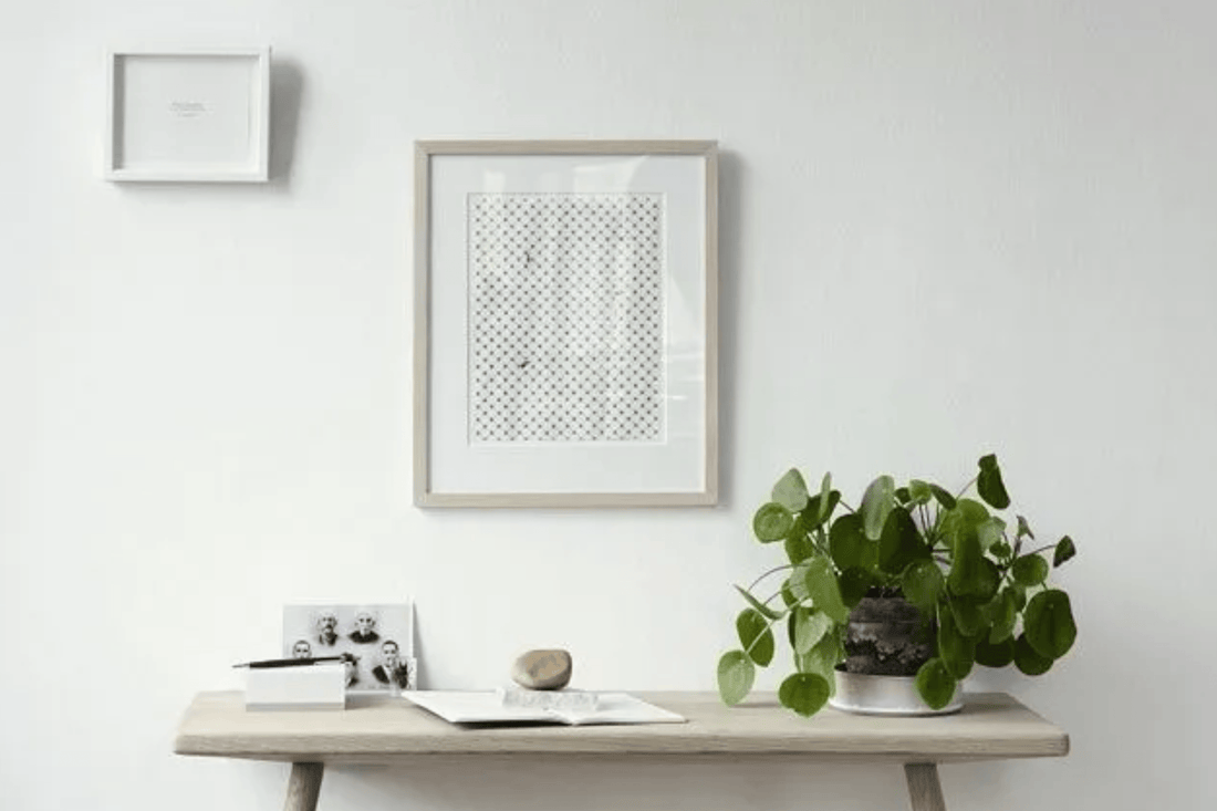 Pilea cómo cuidarla para potenciar mi concentración y creatividad