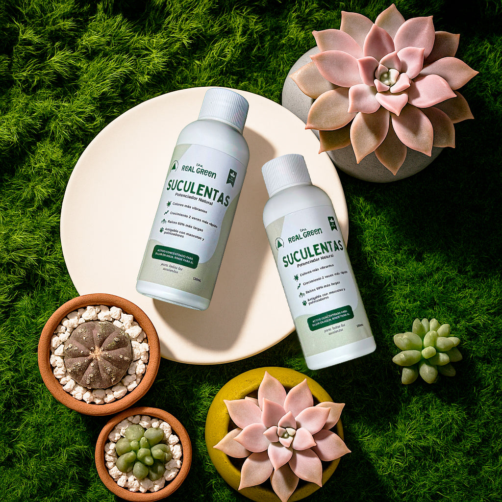 Enraizante para cactáceas y suculentas