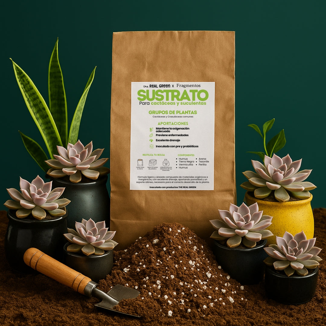 Sustrato para cactáceas y suculentas 3L
