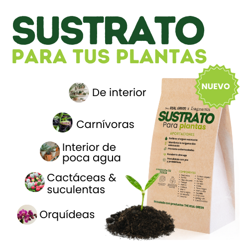 Sustrato para plantas