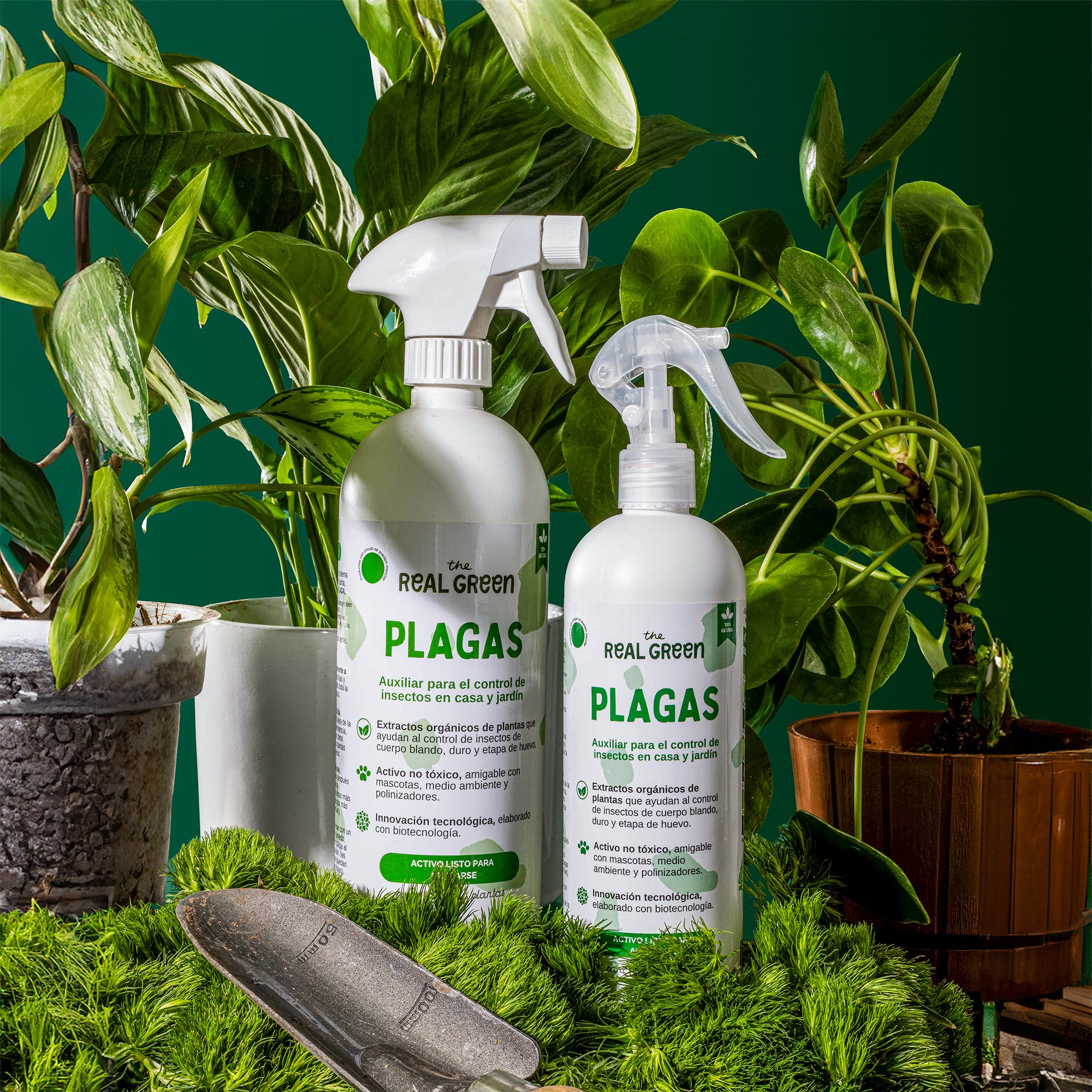 Auxiliar para el control de plagas