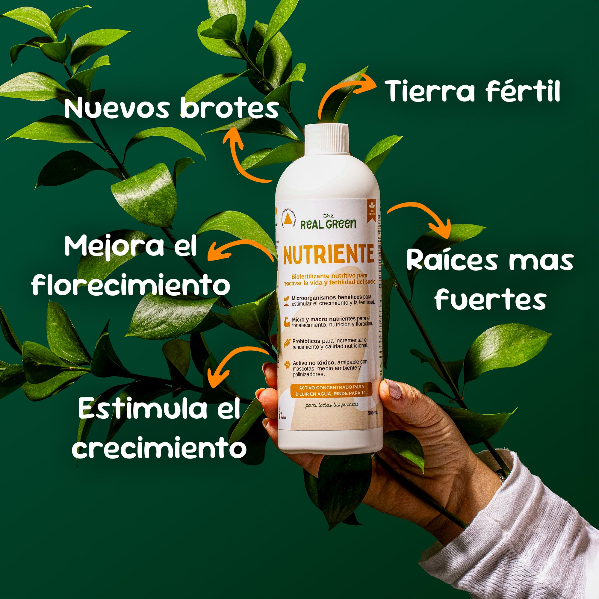 plantas que ayudan a la fertilidad Bio-fertilizante nutritivo Concentrado – The Real Green