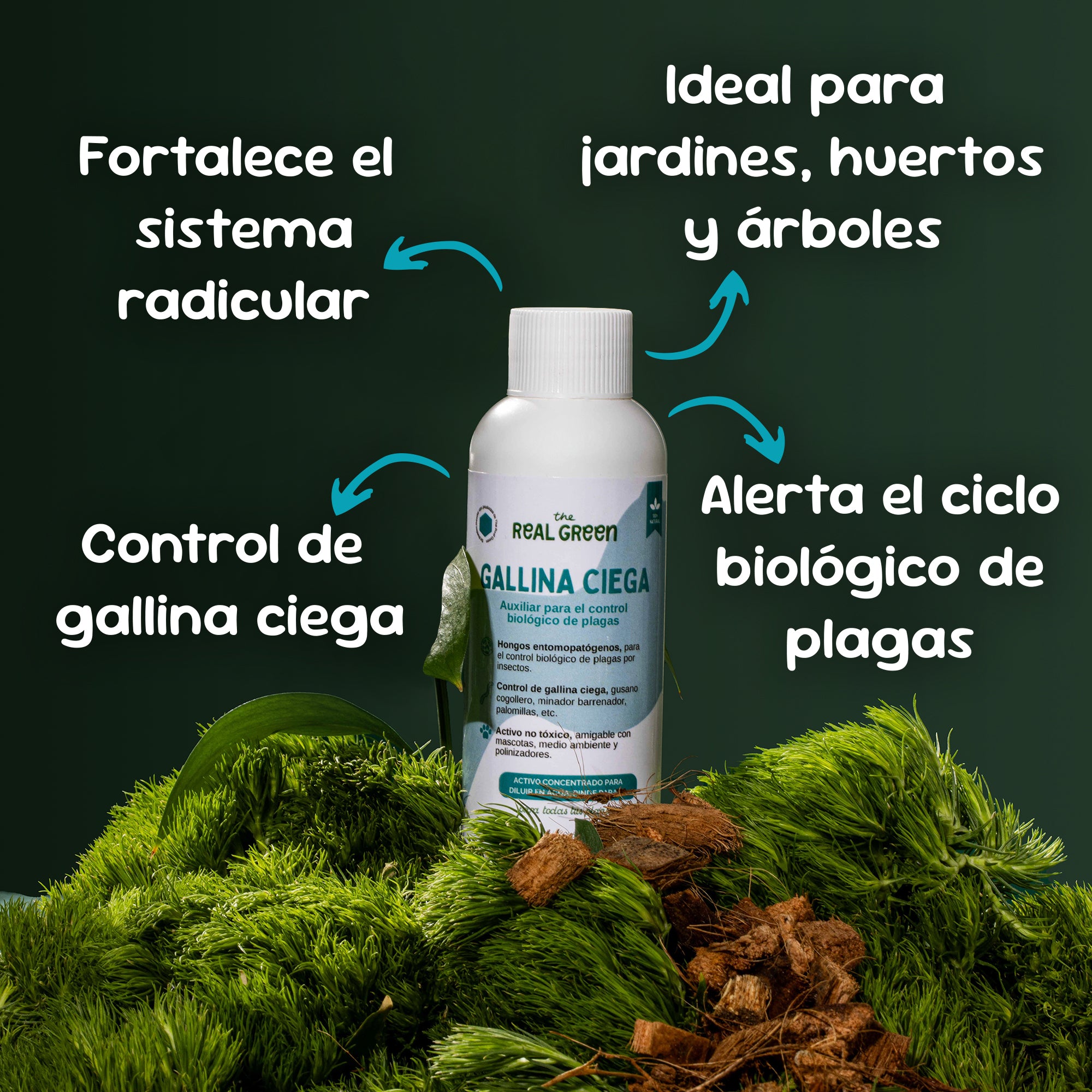 Kit césped verde