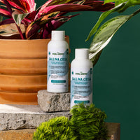 Auxiliar para el control de gallina ciega