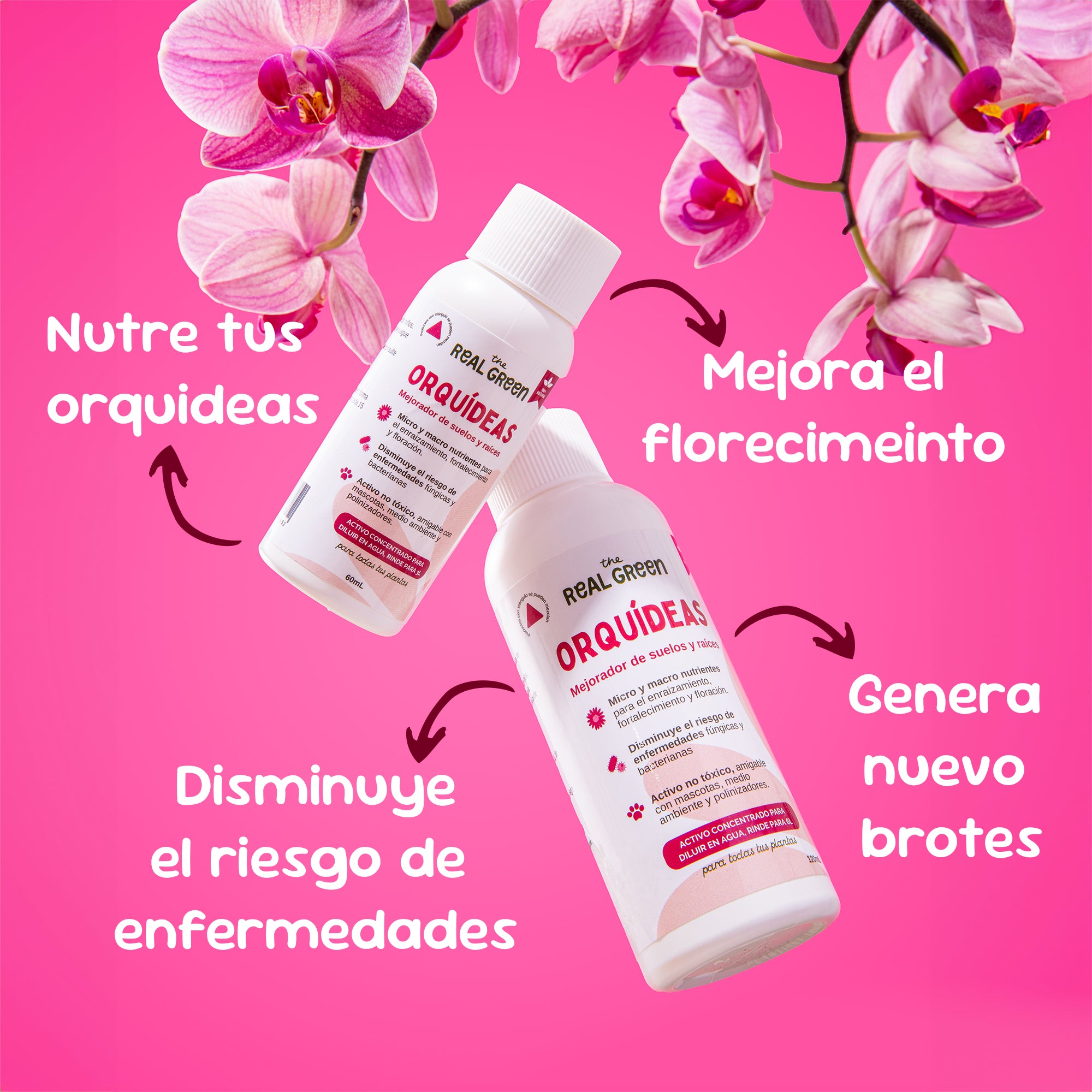 Enraizante para orquídeas Concentrado