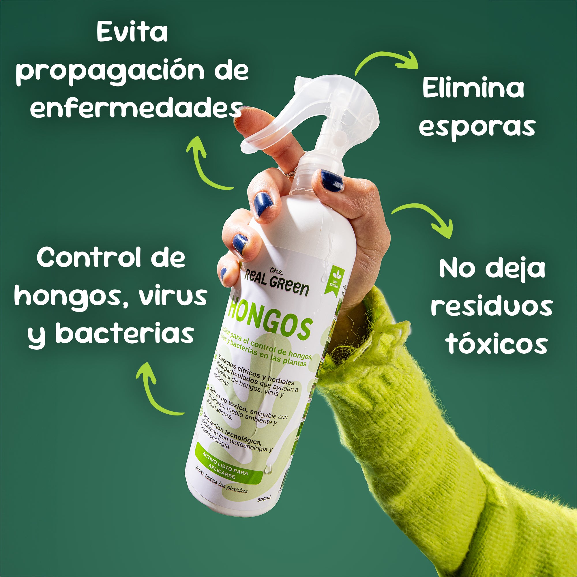 Kit orquídeas