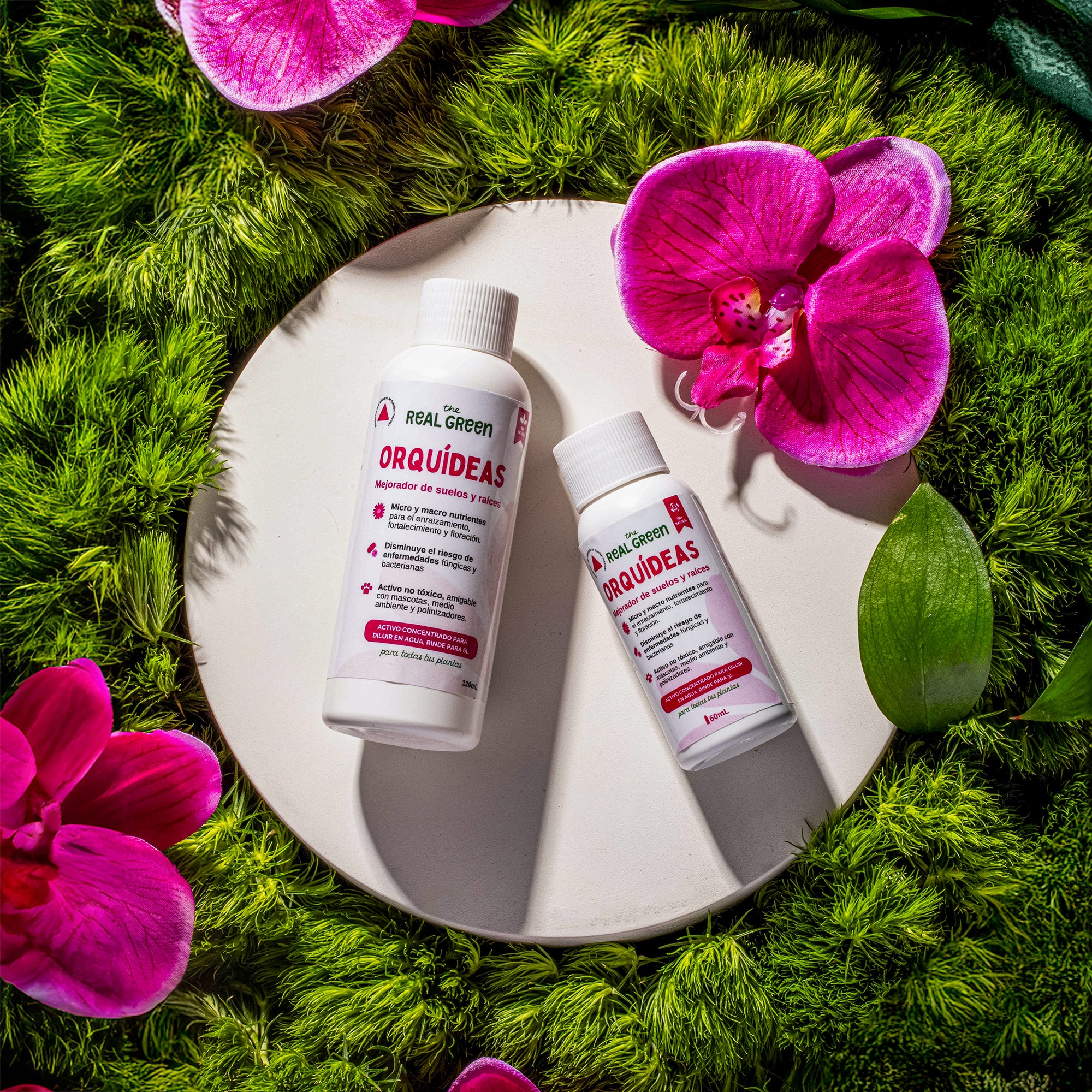 Enraizante para orquídeas