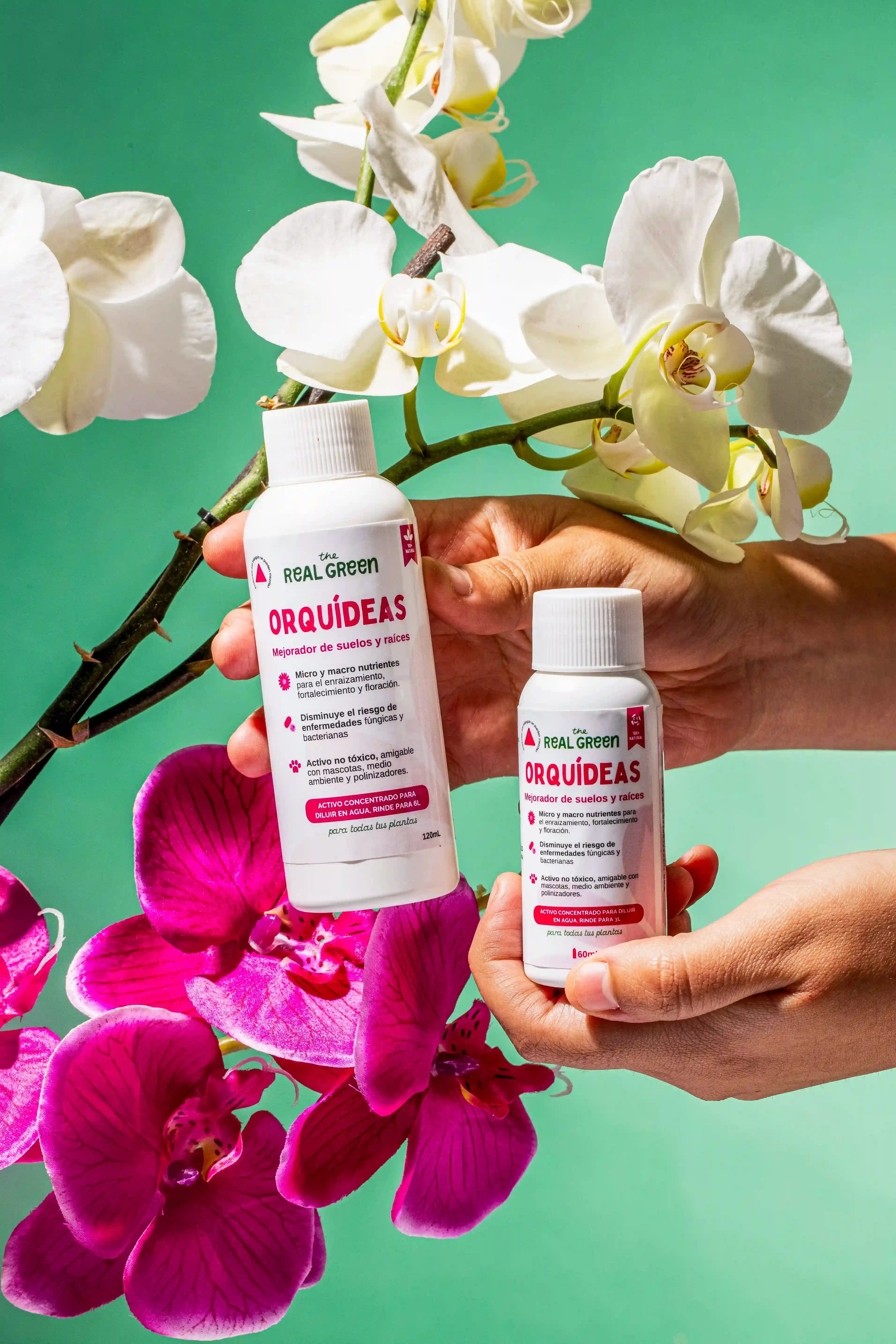 Enraizante para orquídeas