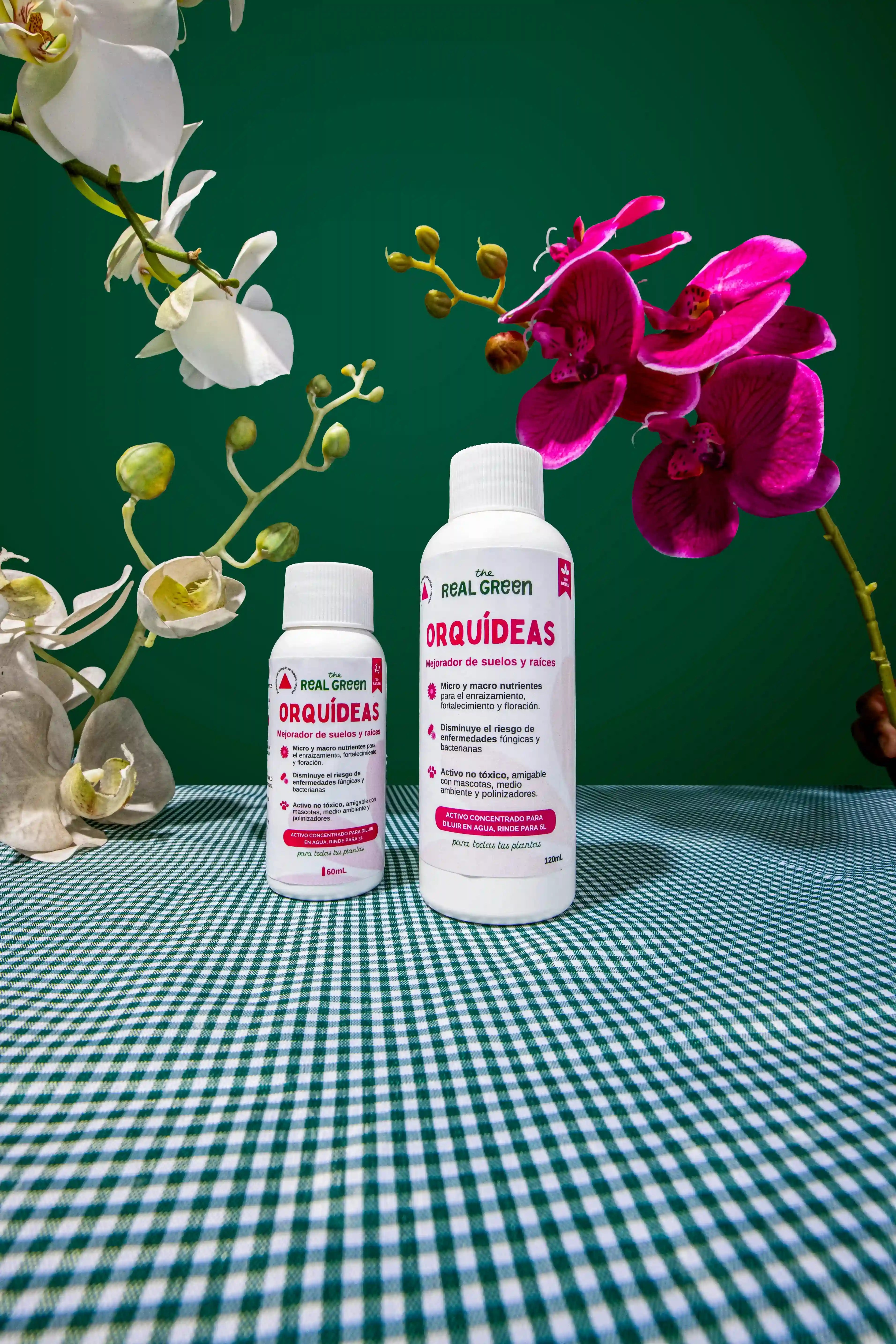 Enraizante para orquídeas