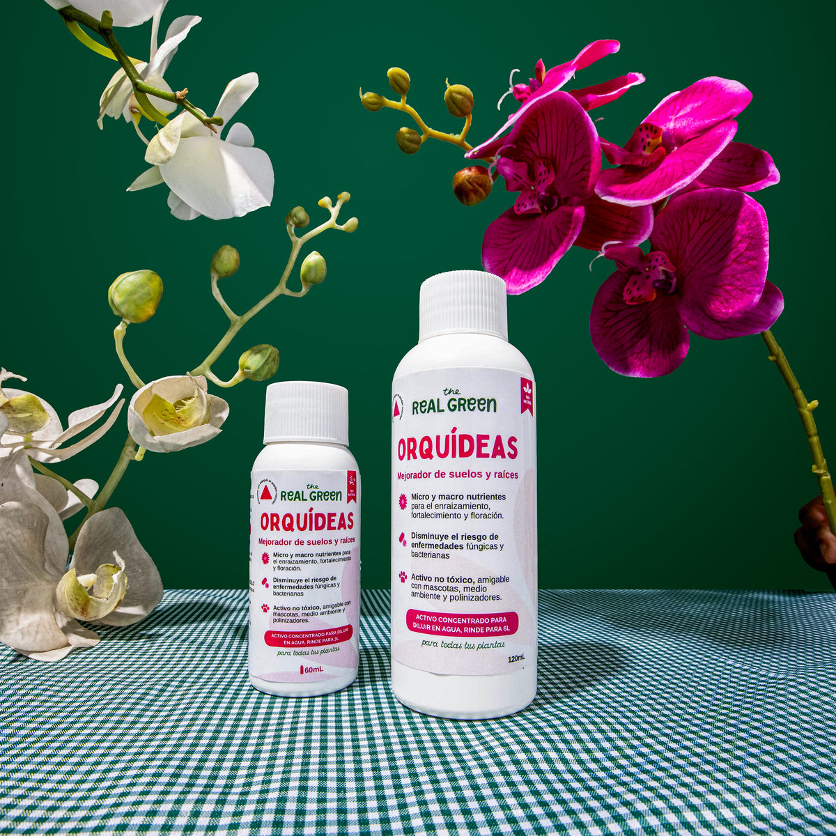 Enraizante para orquídeas