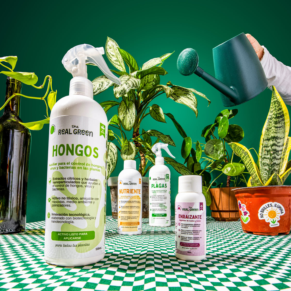 Kit Plantas Felices
