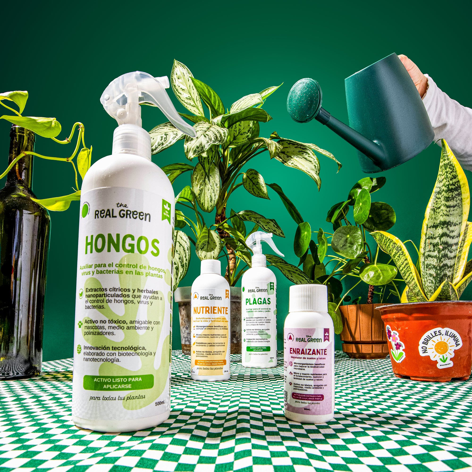 Kit Plantas Felices Mediano