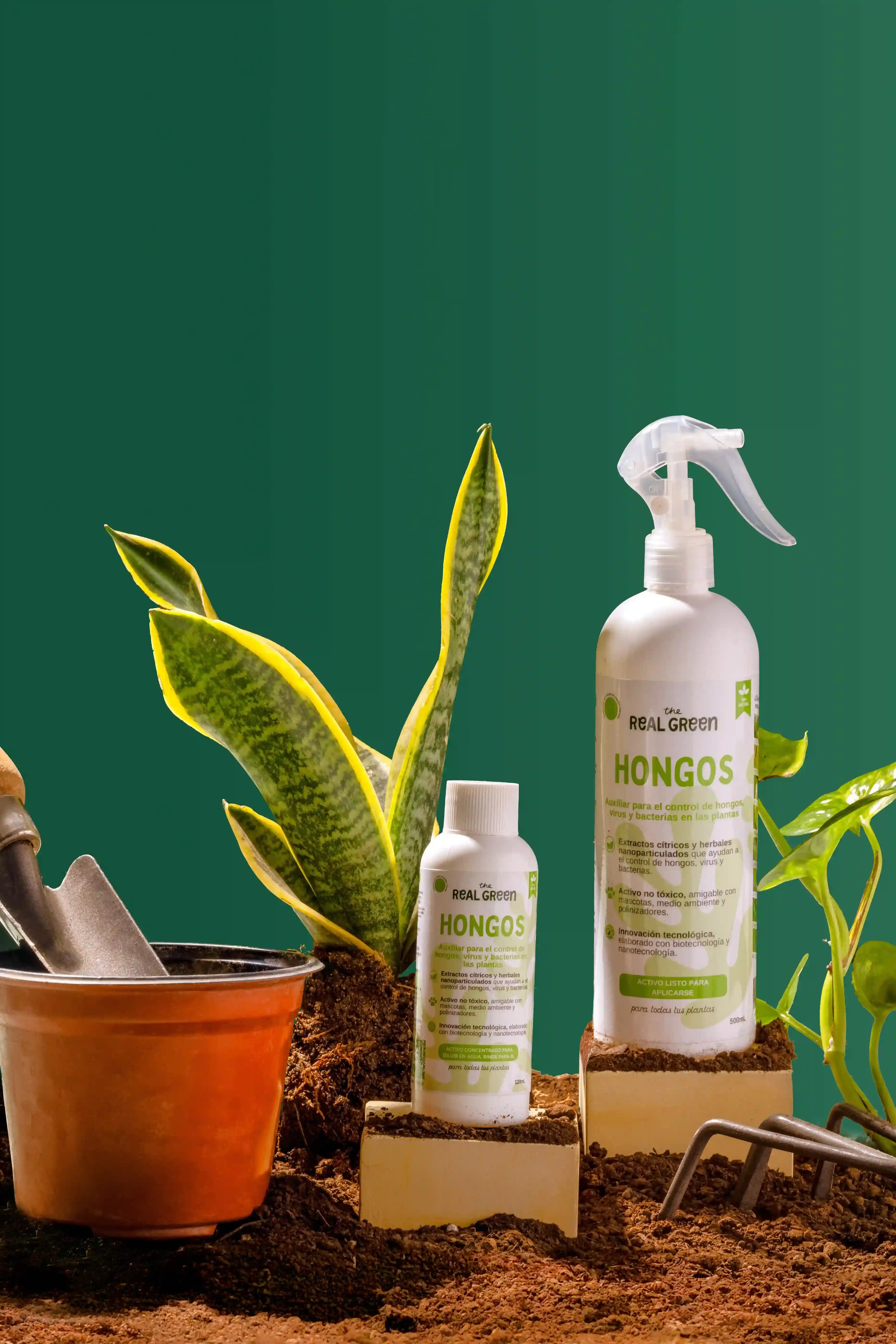 Auxiliar para el control de hongos, virus y bacterias