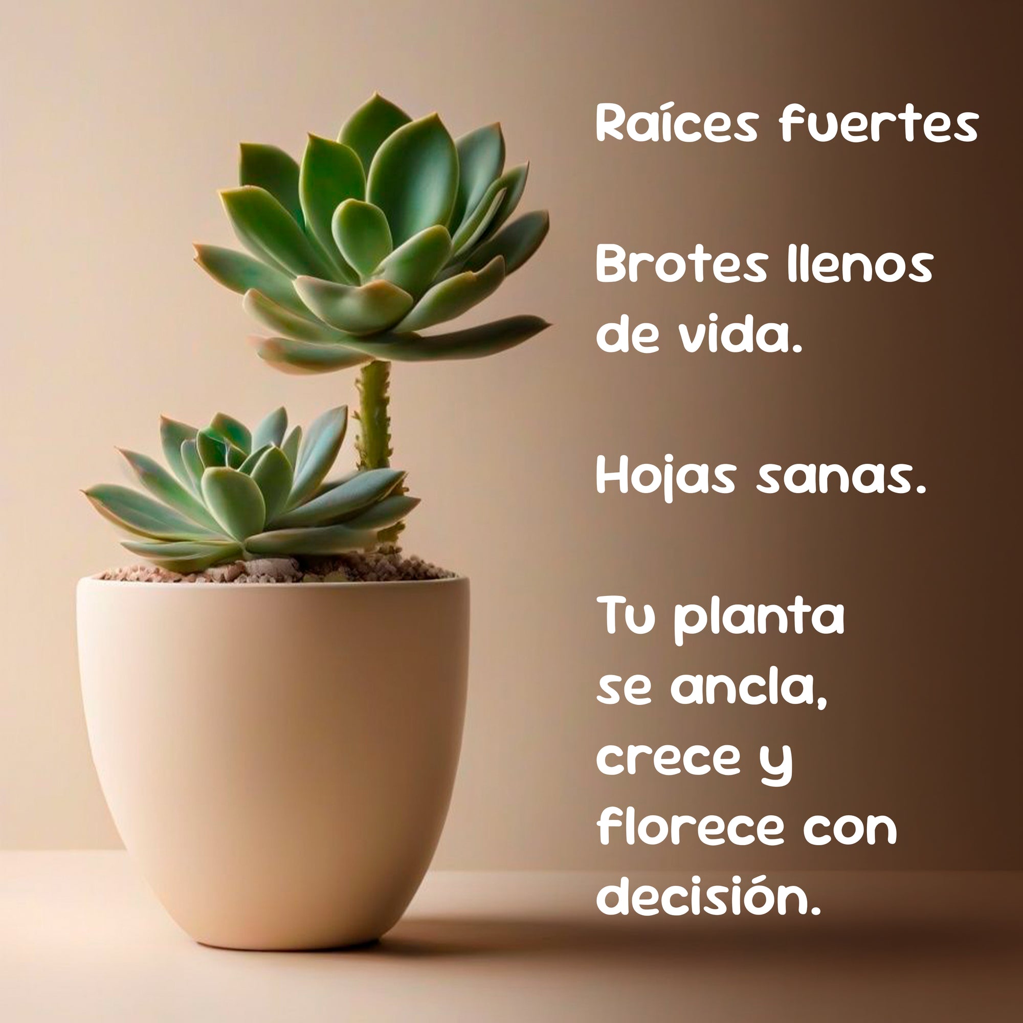 Enraizante para cactáceas y suculentas