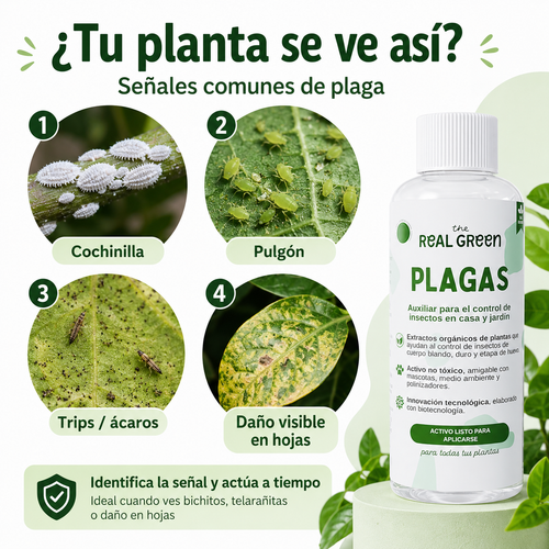 Auxiliar para el control de plagas