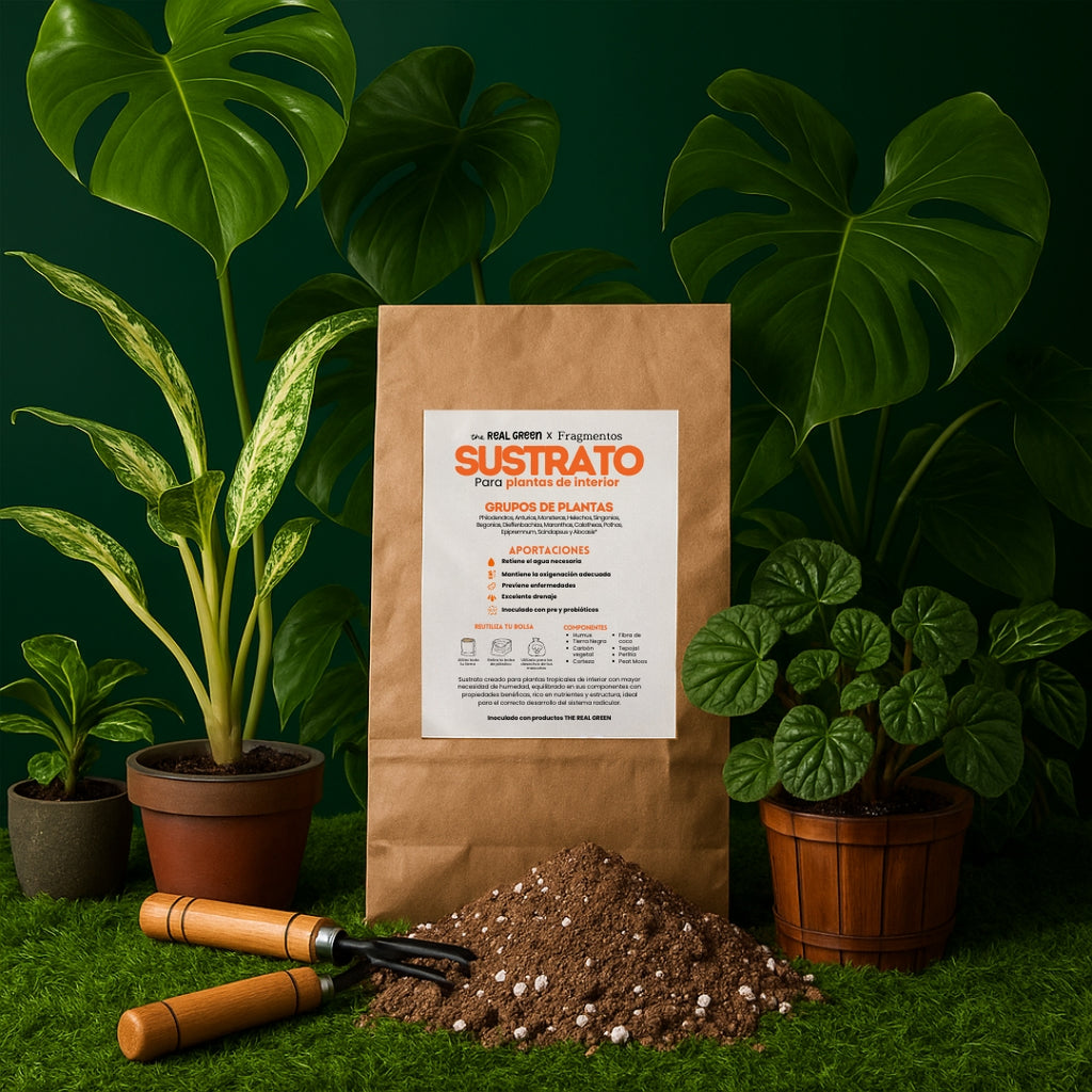 Sustrato para plantas de interior 3L