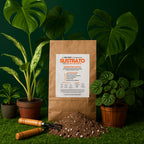 Sustrato para plantas de interior 3L