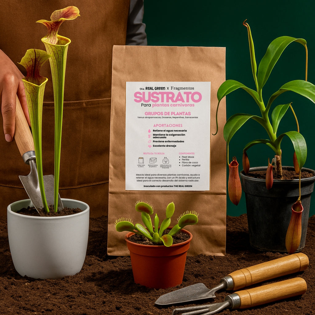 Sustrato para plantas carnívoras 3L