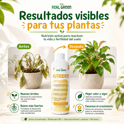 Bio-fertilizante nutritivo Concentrado