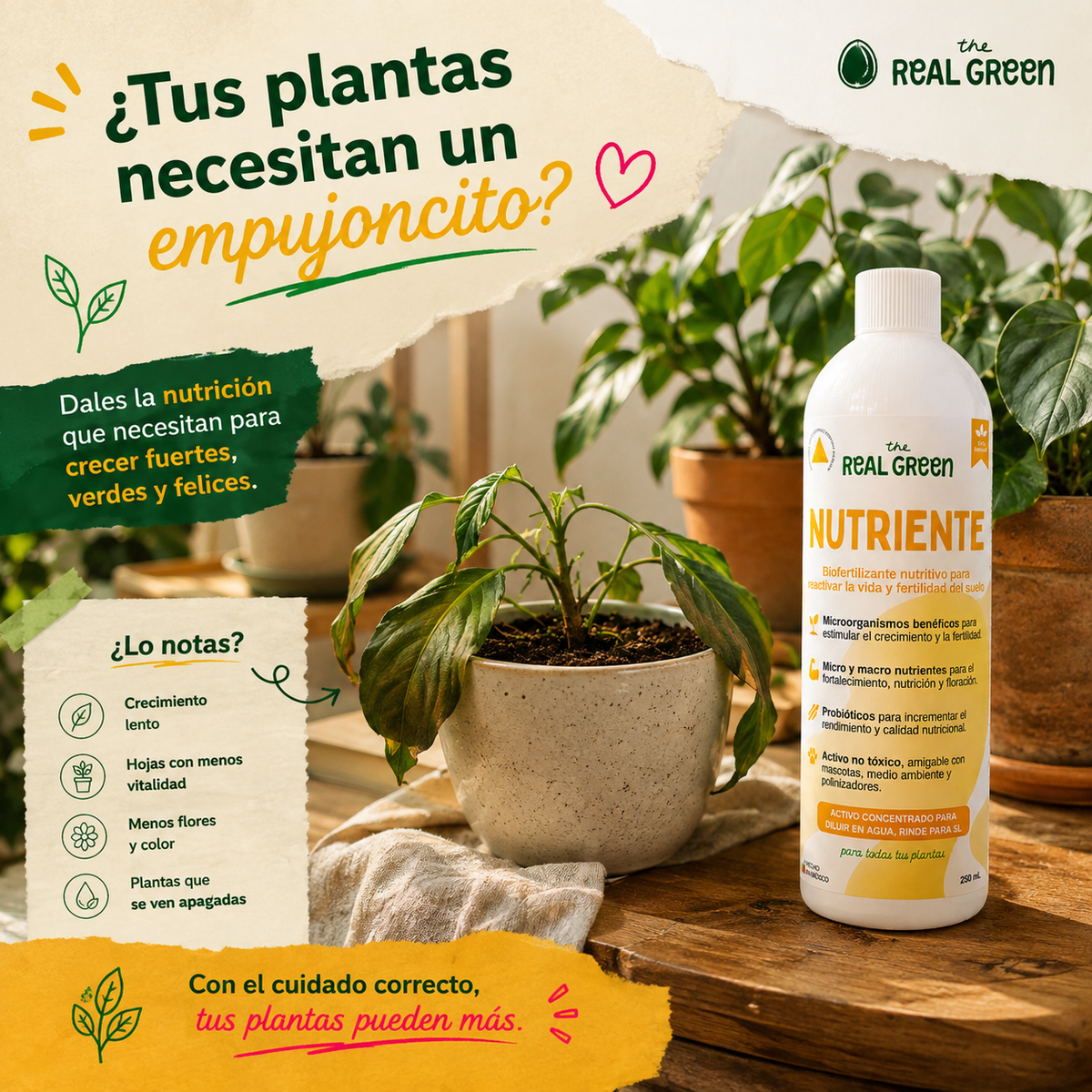Bio-fertilizante nutritivo Concentrado
