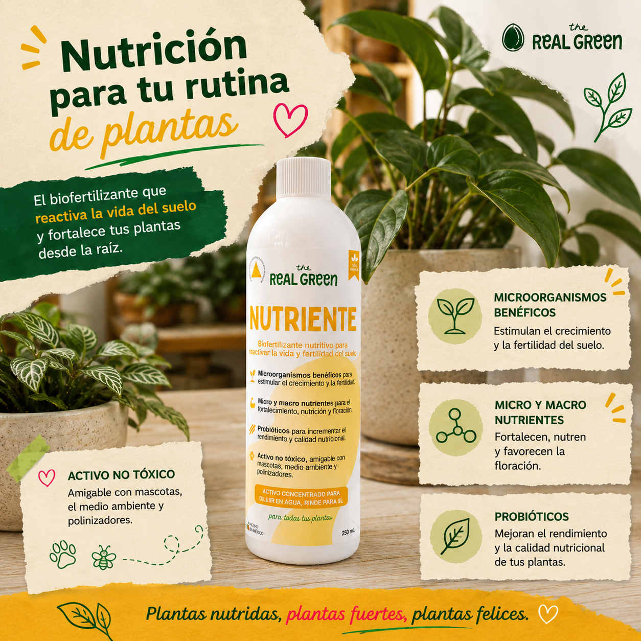 Bio-fertilizante nutritivo Concentrado