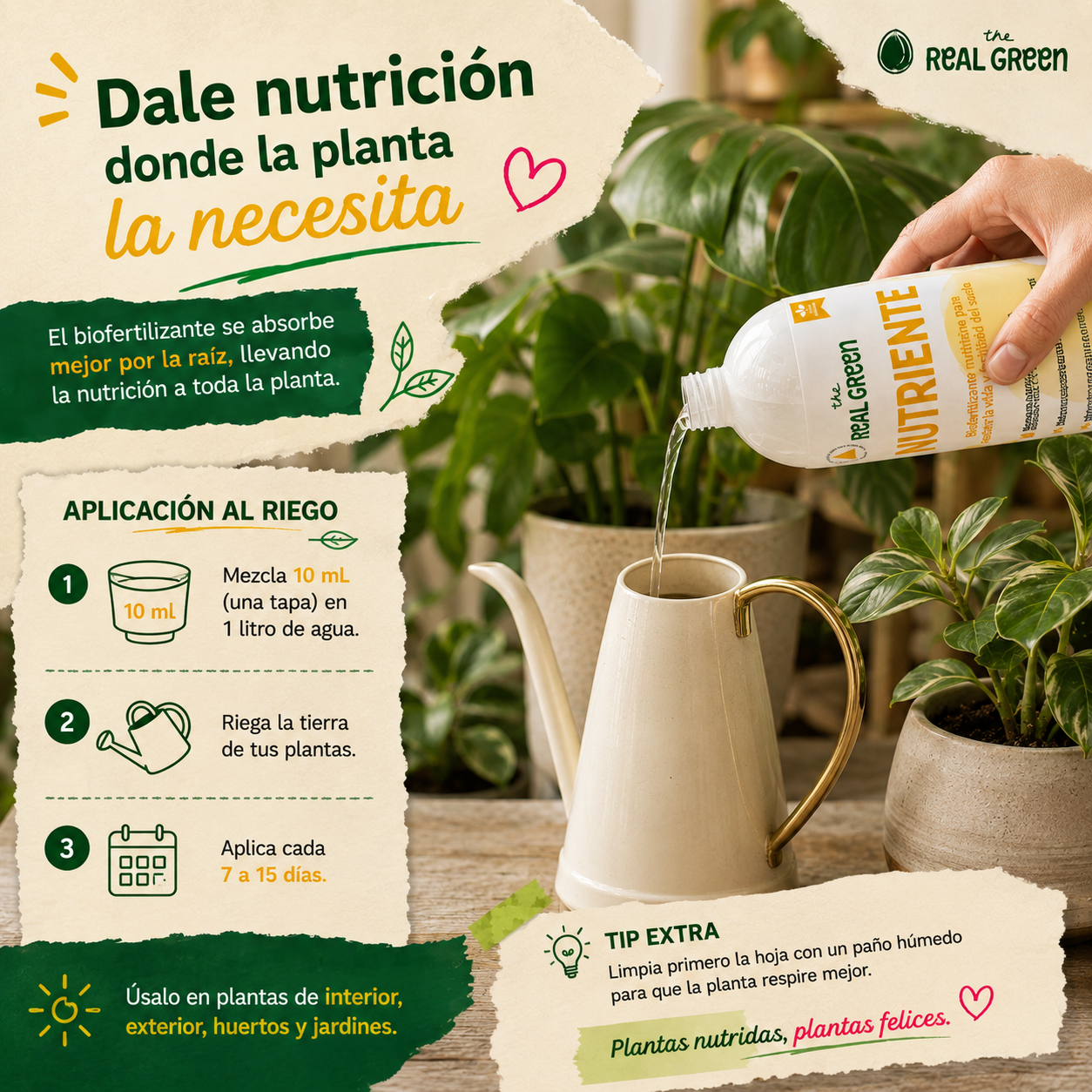 Bio-fertilizante nutritivo Concentrado