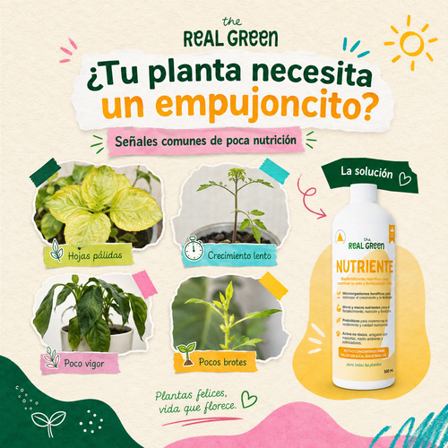 Bio-fertilizante nutritivo Concentrado
