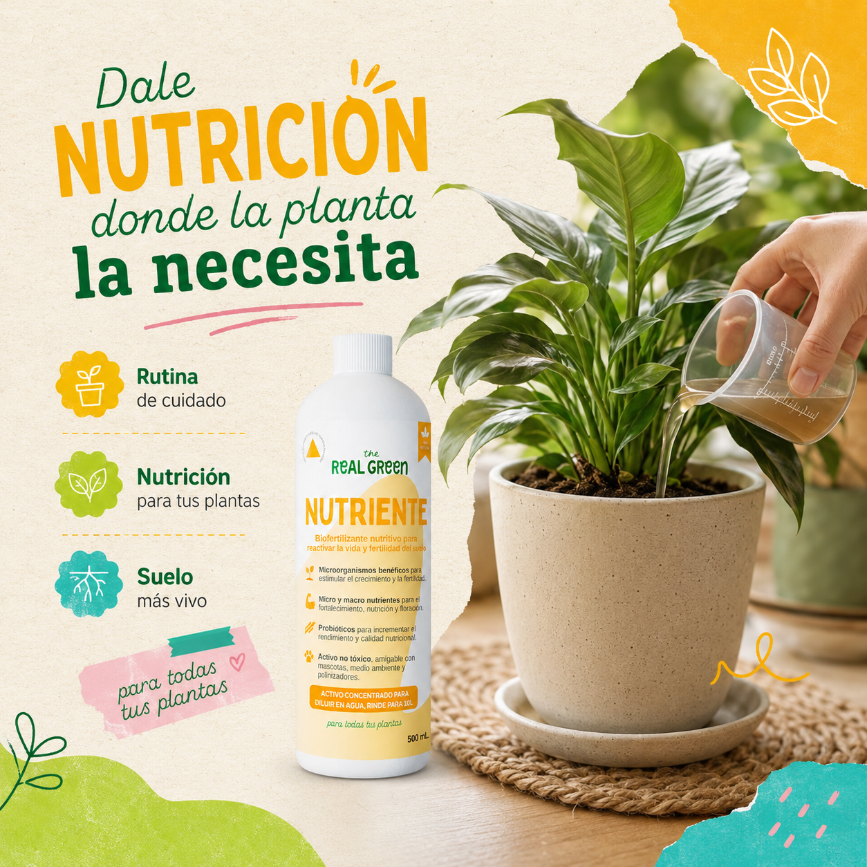 Bio-fertilizante nutritivo Concentrado