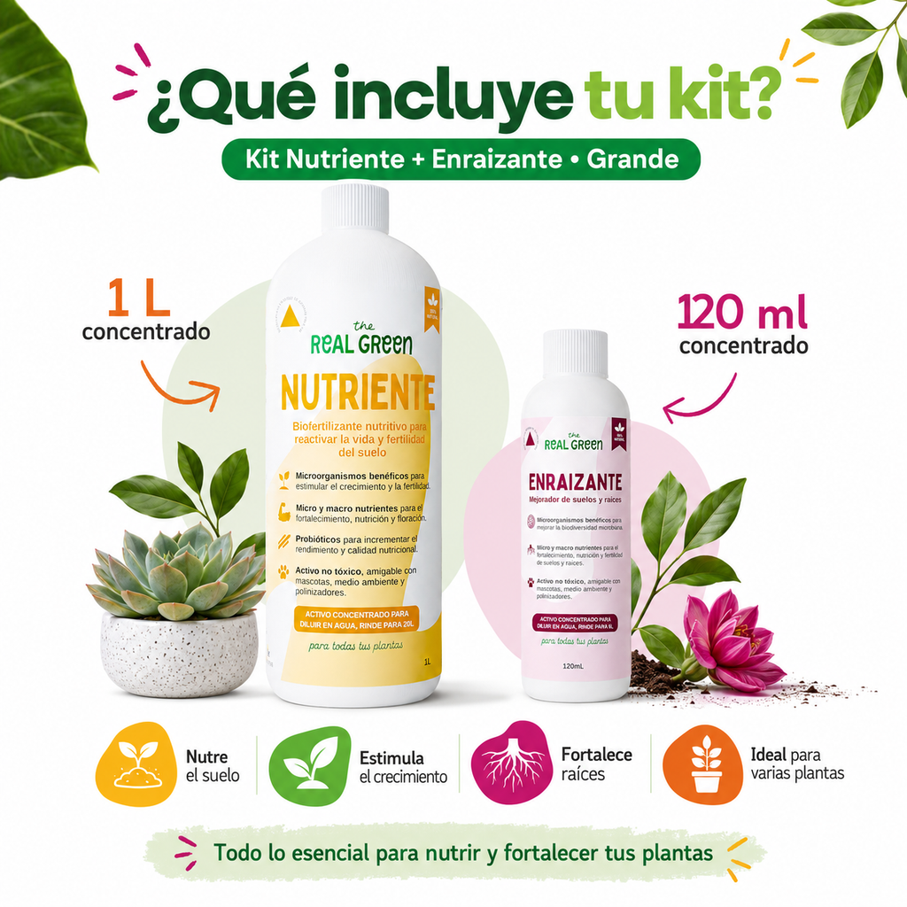 Kit Nutriente + Enraizante Grande
