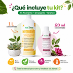 Kit Nutriente + Enraizante Grande