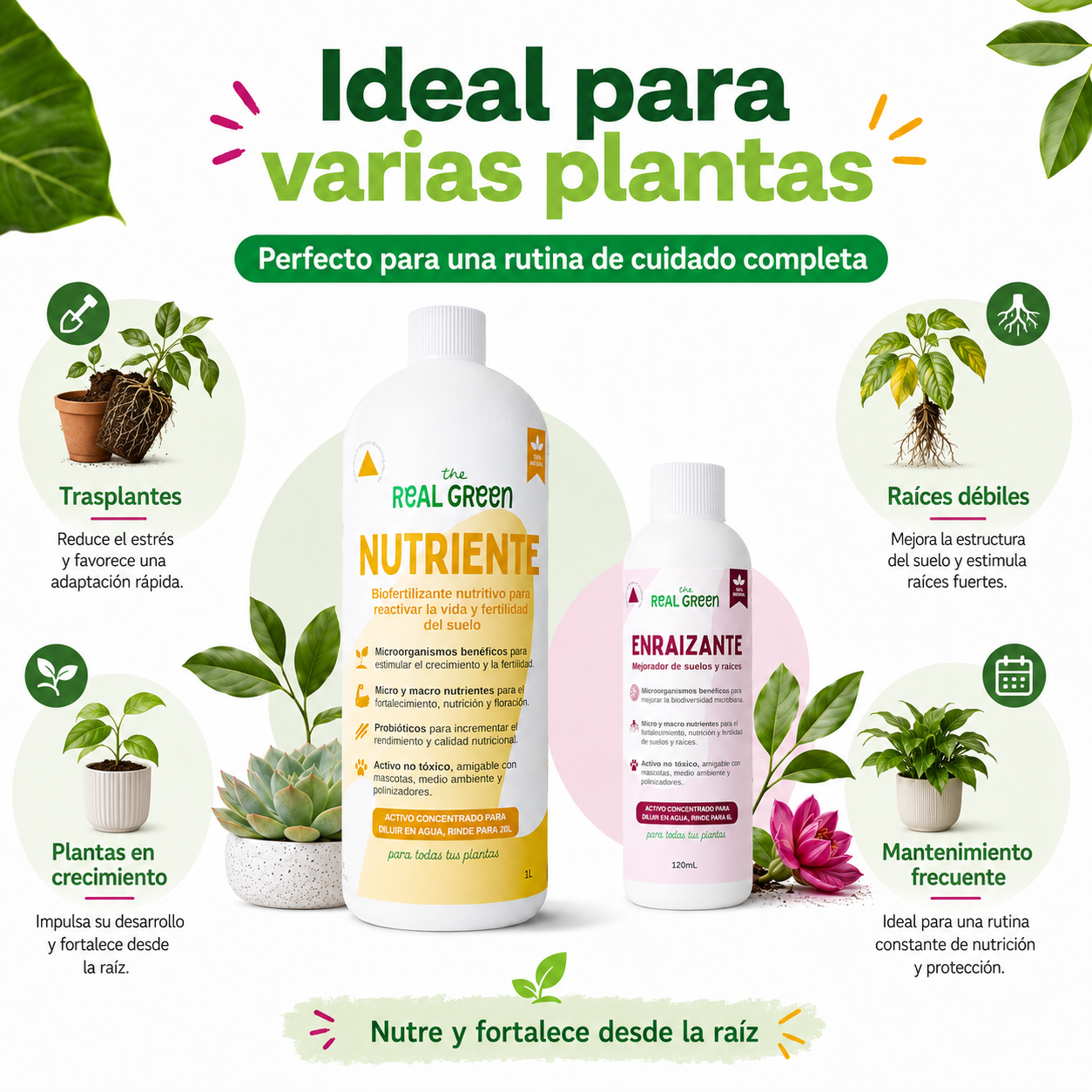 Kit Nutriente + Enraizante Grande