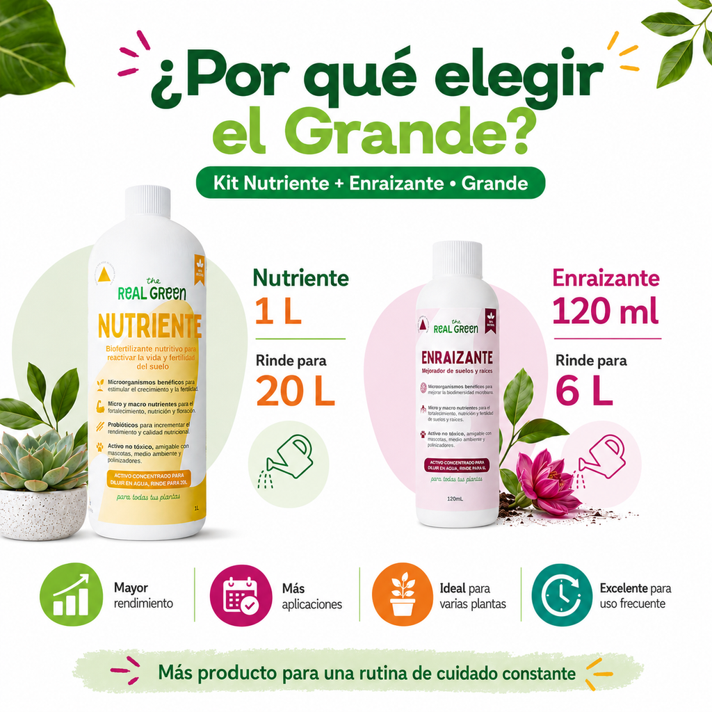 Kit Nutriente + Enraizante Grande