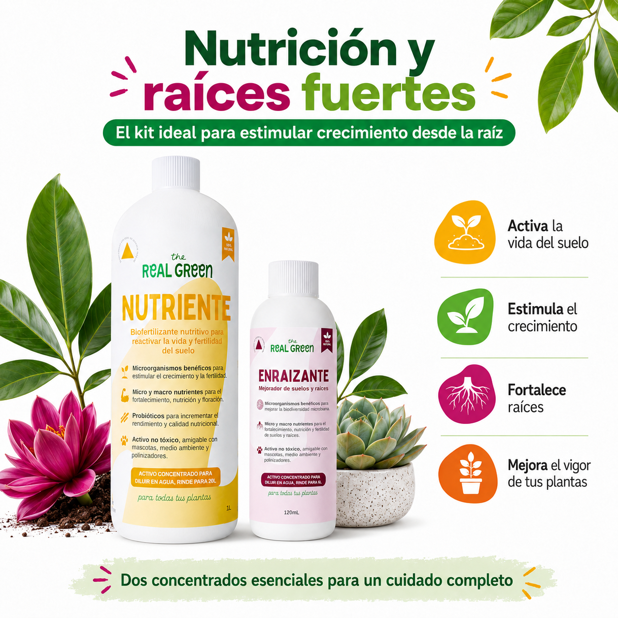 Kit Nutriente + Enraizante Grande