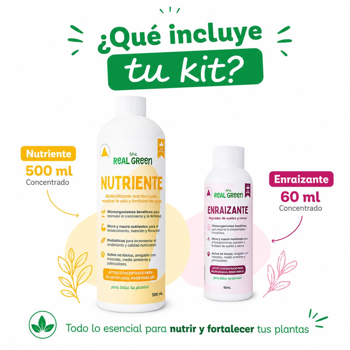 Kit Nutriente + Enraizante