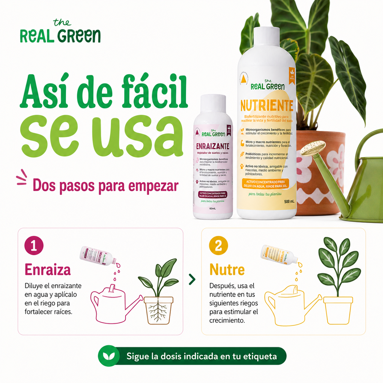 Kit Nutriente + Enraizante