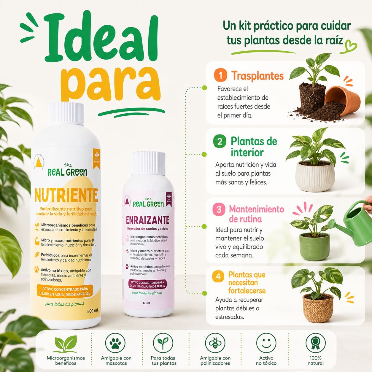 Kit Nutriente + Enraizante
