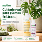 Kit Nutriente + Enraizante