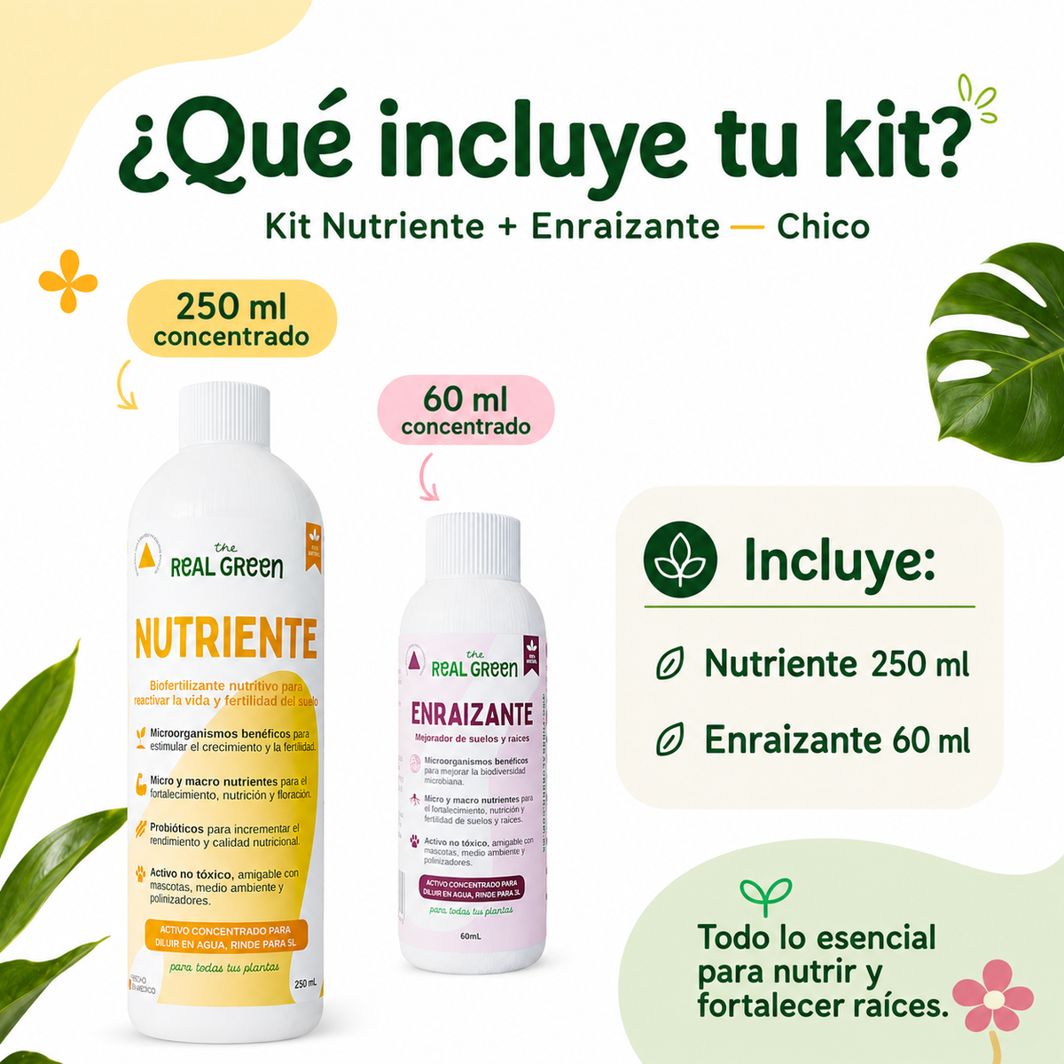 Kit Nutriente + Enraizante Chico