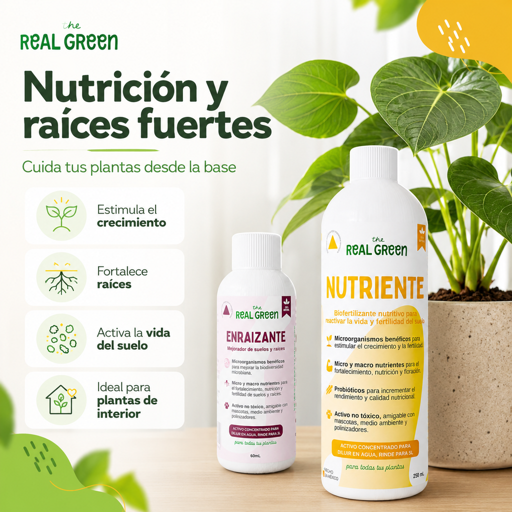 Kit Nutriente + Enraizante Chico