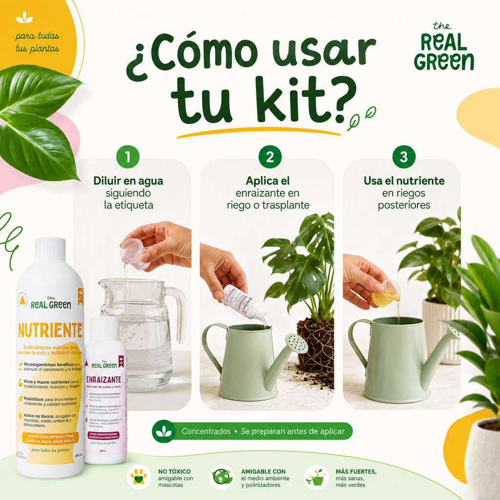 Kit Nutriente + Enraizante Chico