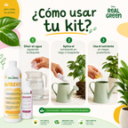 Kit Nutriente + Enraizante Chico