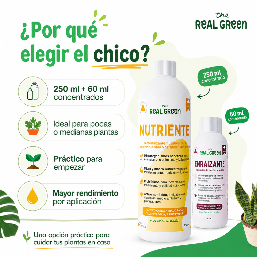 Kit Nutriente + Enraizante Chico