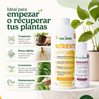 Kit Nutriente + Enraizante Chico