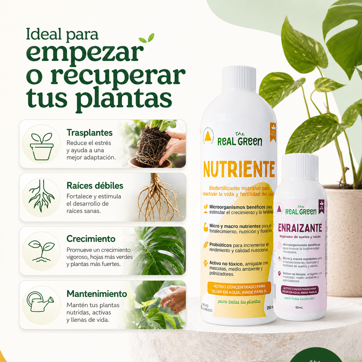 Kit Nutriente + Enraizante Chico