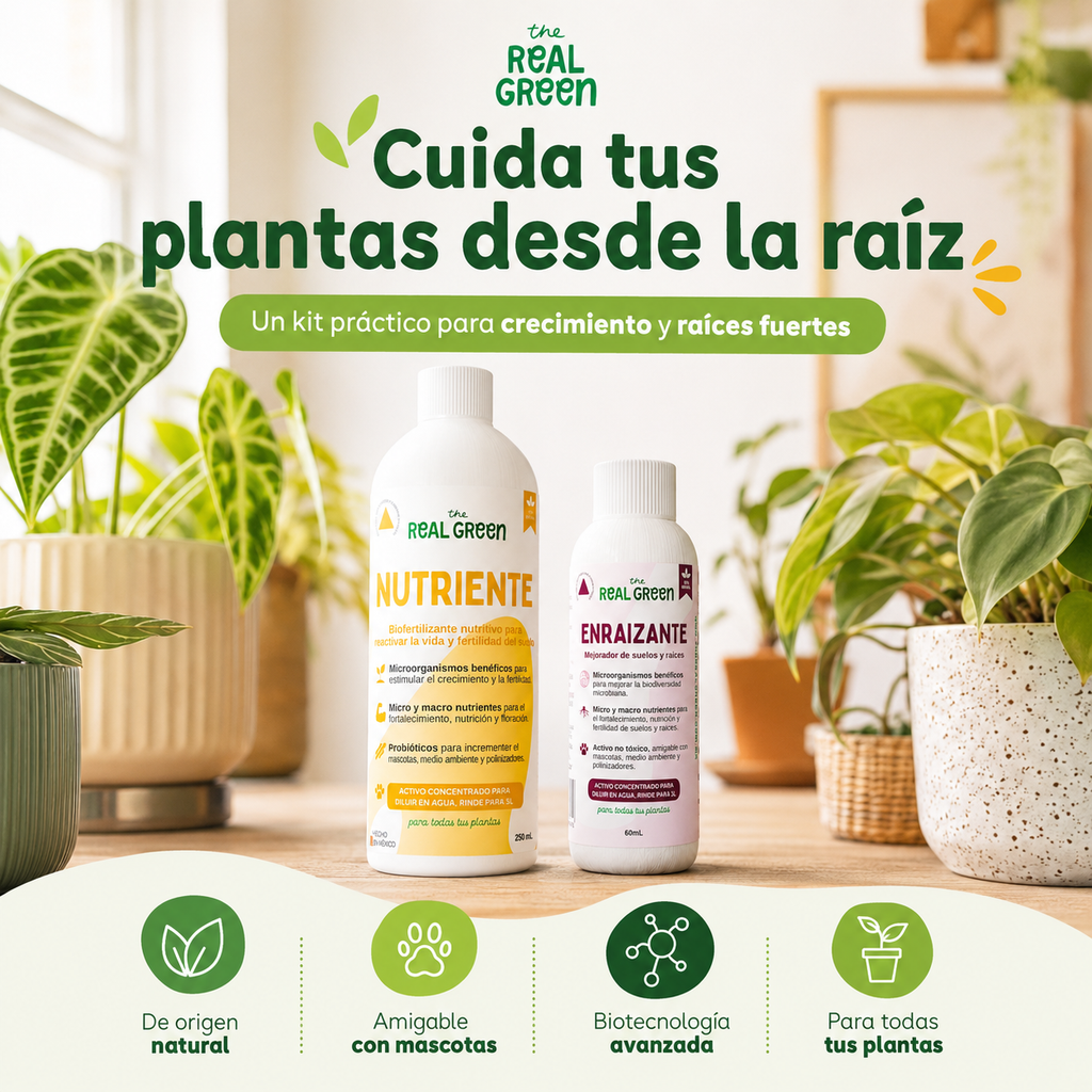 Kit Nutriente + Enraizante Chico