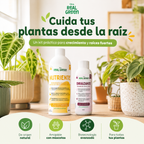 Kit Nutriente + Enraizante Chico